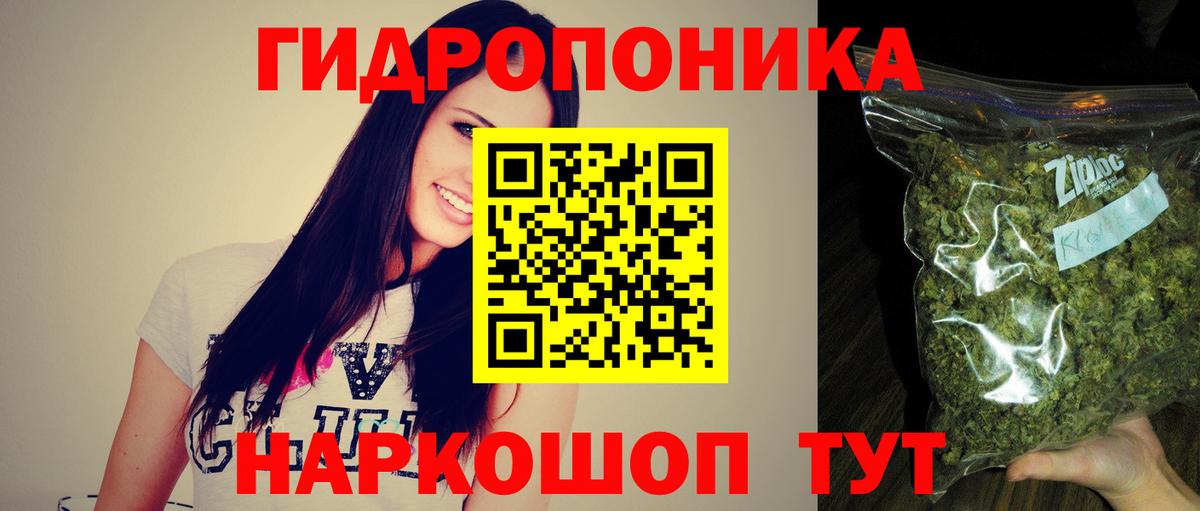 Бошки марихуана THC 21%  Вход с VPN  Марихуана VHQ  Сертолово  Марихуана тримм 
